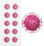 Global Chrysanthemum International First Class Forever US Postage Stamps