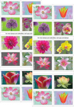 Garden Beauty Forever stamps featuring colorful flower photographs for invitations