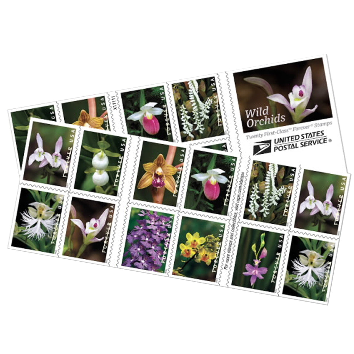 Wild Orchids Forever stamp booklet pane Main image