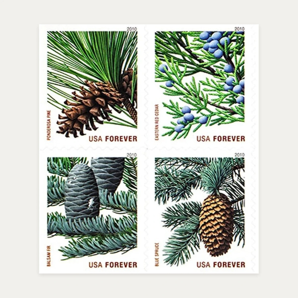 2010 Holiday Evergreens Christmas Forever postage stamps Main image