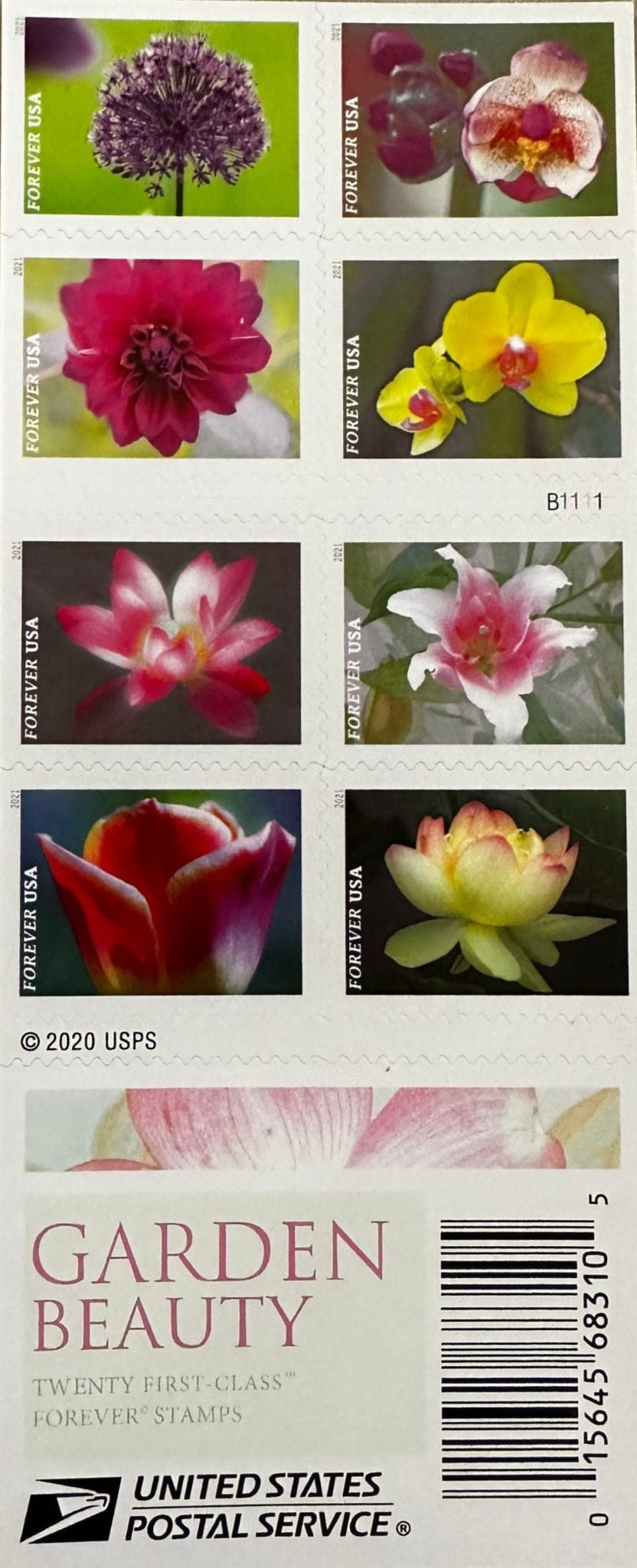 Garden Beauty Forever First Class Postage Stamps Secondary image