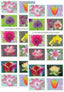Garden Beauty Forever First Class Postage Stamps