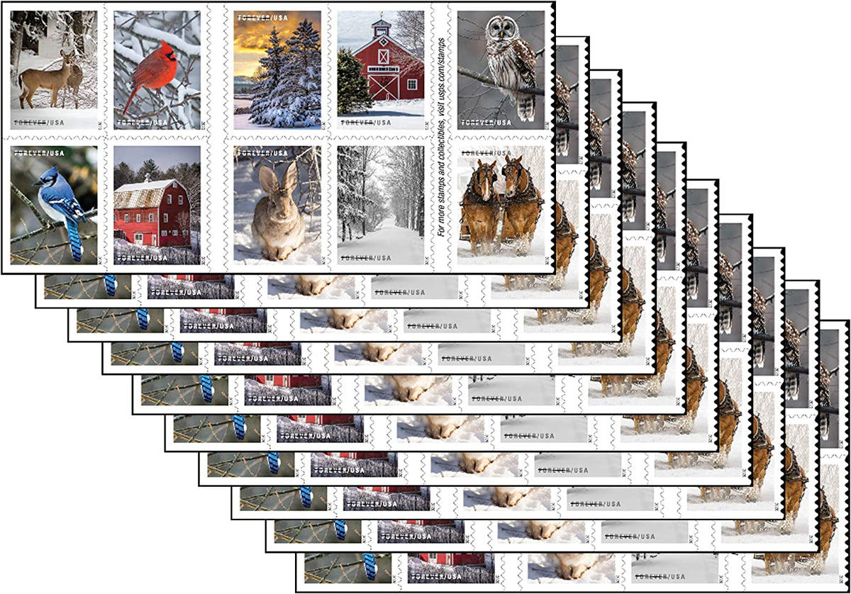 Winter Scenes Forever First Class Postage Stamps Secondary image