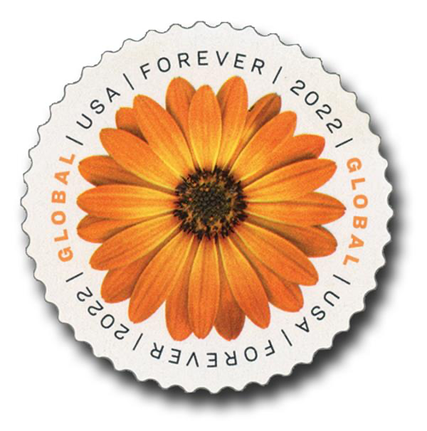 Global African Daisy International First Class Forever US Postage Stamps Secondary image