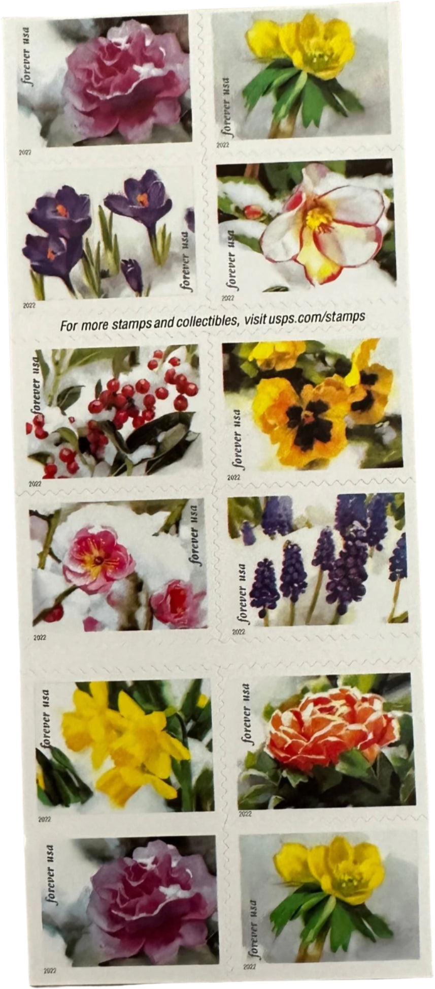 Snowy Beauty flower Forever stamp sheet