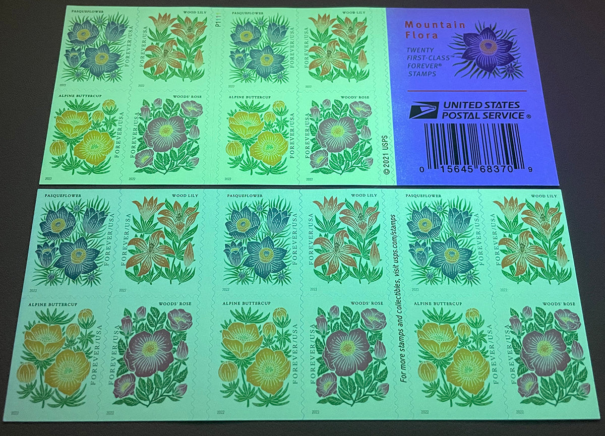 Mountain Flora Forever First Class Postage Stamps Secondary image