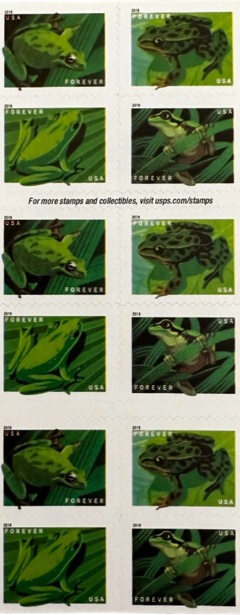 Frogs Forever stamp strips