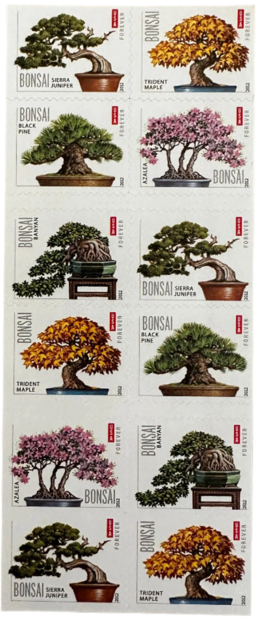 Bonsai Forever stamp strips