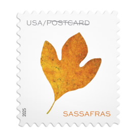 Vibrant Leaves Postcard Stamps, Sheet of 20 Secondary image