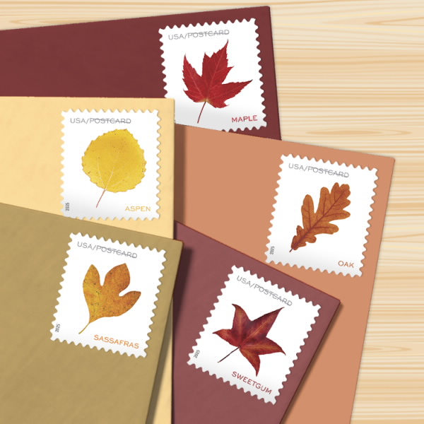 Four Vibrant Leaves postcard stamp designs on envelopes