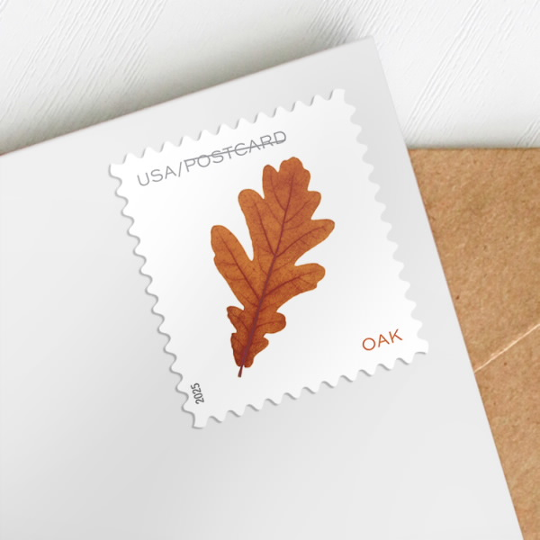 Vibrant Leaves Oak postcard stamp on an envelope